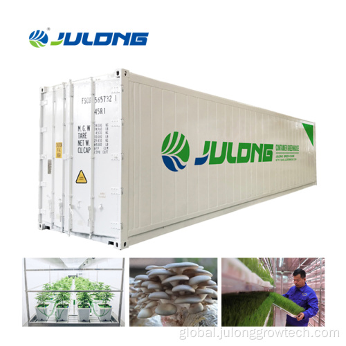 Mushroom Container Plant Factory Mushroom Container Greenhouse with Hydroponic Growing System Supplier